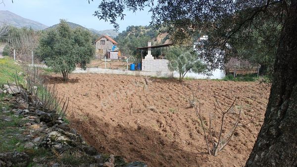 Satılık Hobi Bahçesi