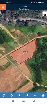 Körfezde Yola Cepheli Tarla