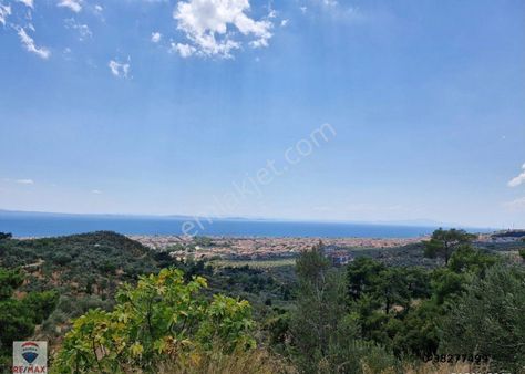 Altınoluk'ta Körfez Manzaralı 30 Dönüm Satılık Zeytinlik