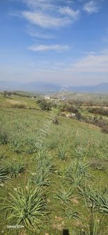 Yatırımlık Tarla Satılık!