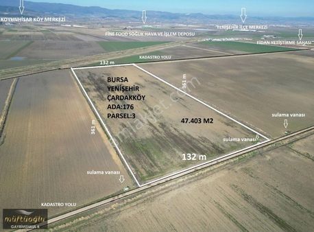 Bursa Yenişehir Çardak Mahallesinde Satılık Yatırımlık Arazi