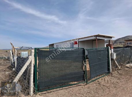 Ayaş Sinanlı'da Satılık Hemen Kullanıma Hazır Bahçe