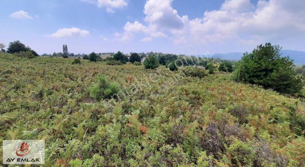 Ay Emlak'tan Armutlu Selimiye Köyü Yakın Mevkii İçinde Tarla