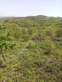 Doğaca Köyü 7000 M2 Yatırımlık Tarla Çan Çanakkale