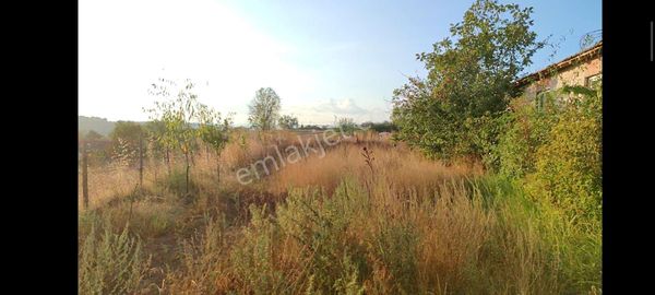 502 M2 %40 İki Kat İmarlı Köy Arsası (bağ Niteliğinde) - Durali Köyü - Çan - Çanakkale