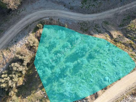 Kumla Konak Emlak”tan Satılık Yola Sıfır Zeytinlik