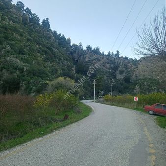 Muğla Ortaca Mergenli Satılık Tarla Müstakil Parsel