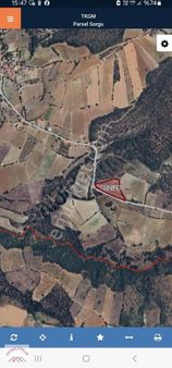 Manisa Köprübaşı Sargaçta Satılık Zeytinlik 6.300m2 Zeytinlik