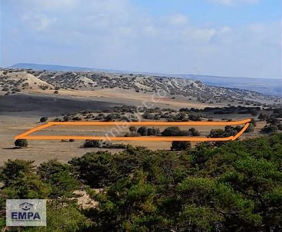 Empa'dan Musaözü Mah. Yatırıma Uygun 10.272m² Satılık Tarla