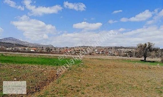 Seydıkemerde Acıl Kelepır Satılık Yatırımlık Tarla