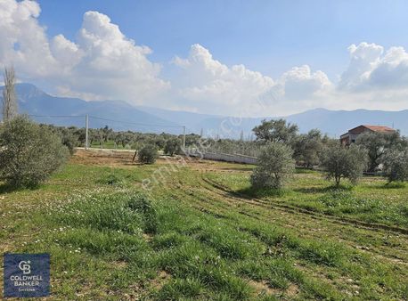 Kemalpaşa Vişneli Köyünde Yola Cepheli Satılık Tarla