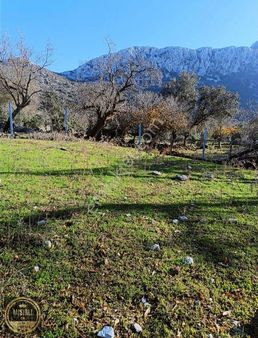 Marmaris Sögüt Bahçelide Satılık Tarla !