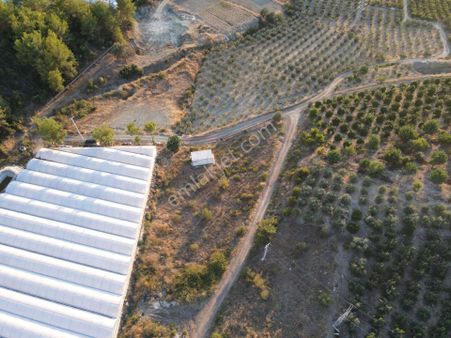 Antalya Kumluca Hasanağa Köyü Satılık Tarla