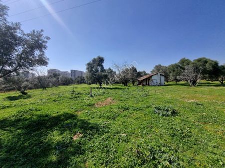 Pınarbaşı Mah.'de 11 Dönüm İmarlı Alan İçinde Satılık Arsa