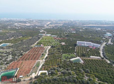 Erdemli Batısandal Full Deniz Manzaralı Satılık Bahçe