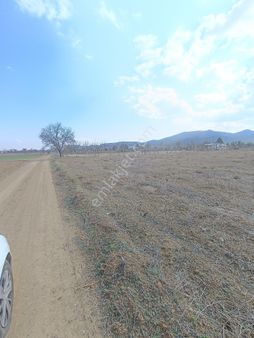 Erkuş Gyodan Acıpayam Alaattinde Araç Takasli Fırsat Arazi