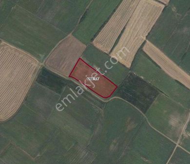 Kırklareli / Vize İlçesinde 7.866,87 M2 Satılık Arazi