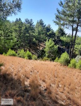 Seydikemer Ören Mah 4160 M2 Arazi Tek Tapu