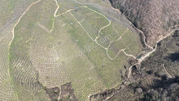 Remax Hür'den Karasu Paralı'da Satılık Fındık Bahçesı