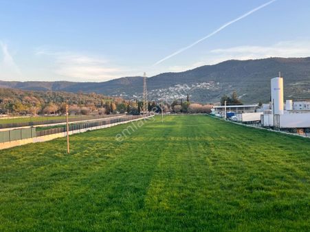 Muğla/bodrum/milas Karayolu Üzerinde Yola Cepheli Süper Konumda Satılık 10 Dönüm 940 M2 Tarla