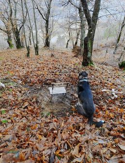 İnegöl Çayyaka Ve Kestane Alana Yakın Tarla Acil Satılık