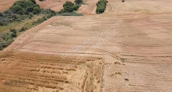 Çerkezköy / Kızılpınar'da 11266 M2 Otoyol Dibinde Müstakil Tarla