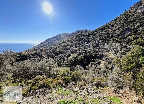 Datça Mesudiye Deniz Manzaralı Kısmen İmar Planı İçinde Tarlalar