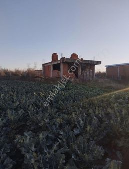 Aytar's Gayrimenkul Altıeylül Selimiye Mah.satılık 2 Arsa 600 M2