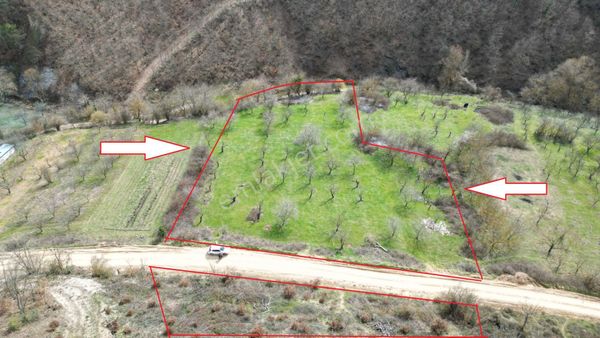 Bursa İznik Yörükler 4386 M2 Satılık Fırsat Tarla