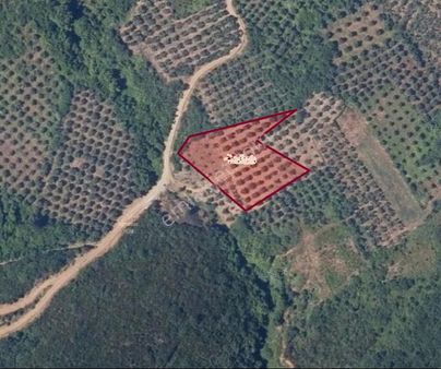 Rt Yılmaz Gaymenkul'den Sahil Yenice Mah. Satılık Tarla