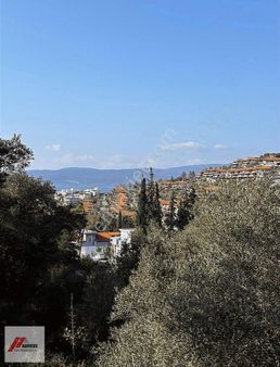 Muğla Güllük'te Satılık İmarlı Arsa