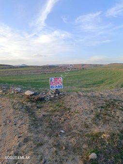 Söğüt Emlak'tan Afyon İscehisar'da Satılık Tarla