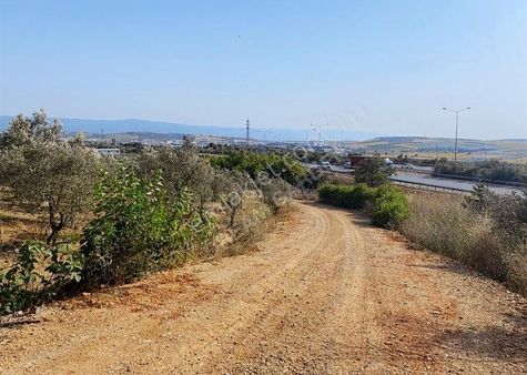 Bursa Nilüfer Büyükbalıklı Mah Satılık Tarla