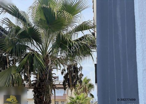 Manavgat Sarılar Mh.satılık Havuzlu Daıre