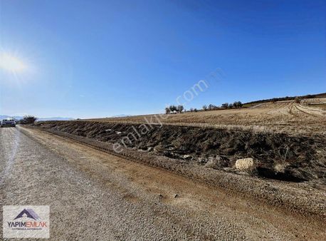 [ypm] Yukarı Demirtaş Köyü Yatırımlık Fırsat Tarla
