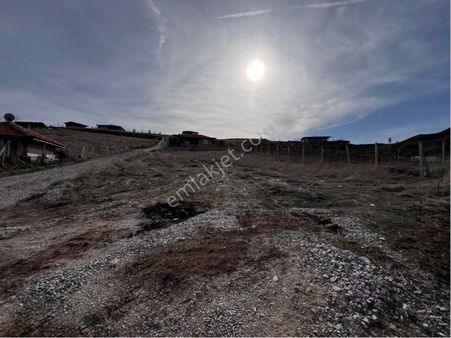 Güzel Hisar At Çiftligi Yanı Tapulu Asfalta 50m Mesafede Satılık Bahçe