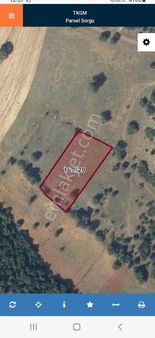 Odak'tan Tavşanlı Ovacık'ta Yeşilin İçinde Yatırımlık Tarla