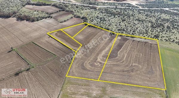Yeniyörükte Satılık 4 Tane Tarla