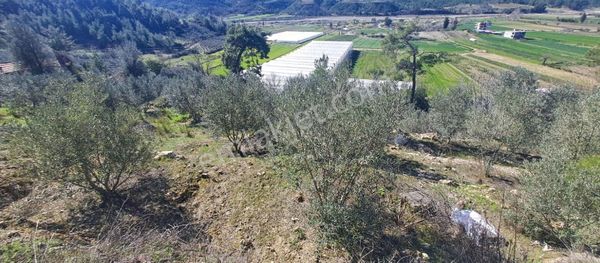 Antalya Manavgat Sağrin Te Satlık 628m Arsa