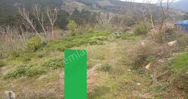 İzmir Bayındır Çınardibinde Satılık Bahçesi