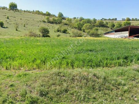 Murat Türkmen'den Kızılcahamam_çeltikçi'de Tek_tapu Araç_takaslı 1960-m2 Tarla Fırsatı