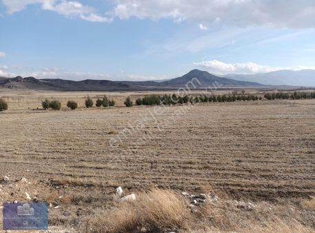 Burdur Karamanlı Murseller Ceviz Cenneti