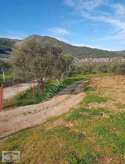 İzmir Selçuk Acarlarda Kaçırılmayacak Hobi Bahçesi