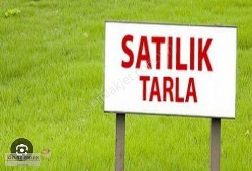 Oflaz Emlak'tan Satılık Yayladağı Kışlakta Tek Tapu Tarla