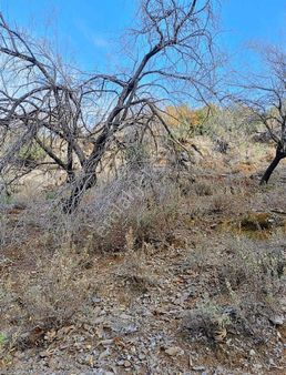 Alanya Türktaş Mahallesinde Yatırım Fırsatı 1.608 M2