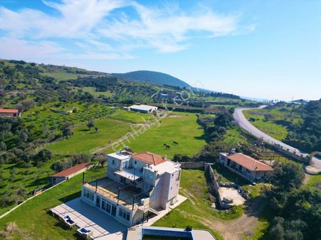 Foça Kozbeylı İmara Yakın Tarla