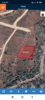 Beyşehir Kurucuova Mahallesinde Satılık Yatırımlık Sulak Tarla