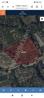 Konyaaltı Zümrüt'de 10 Dönüm İçinde 450 M2 Satılık Rızai Taksimi Yapılmış İçinde Meyve Ağaçları Var