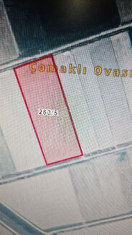 Atça Mahallesinde Yonca Tarlasi