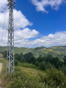 Ana Yola Cephe Kestane,bungalov Müstakil Ev İçin Uygun Yatırımlık